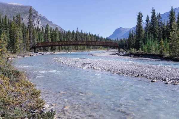 Hermosa Naturaleza Del Parque Nacional Kootaney Alberta Canadá —  Fotos de Stock