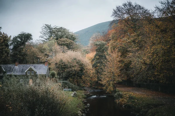 Belo Tiro Árvores Riacho Uma Casa Rostrevor Irlanda Durante Outono — Fotografia de Stock