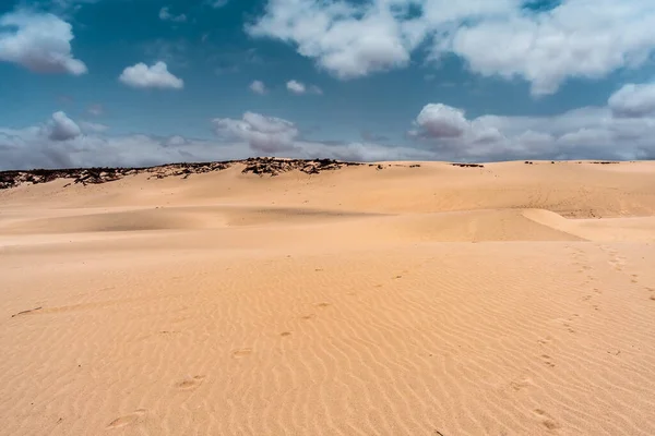 Une Belle Vue Sur Les Dunes Sable Désert — Photo