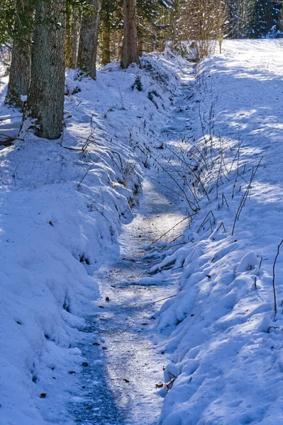 Een Verticaal Schot Van Een Besneeuwde Smalle Weg Door Een — Stockfoto