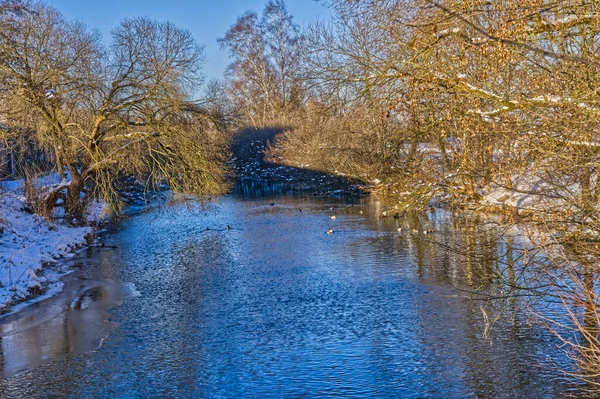 Piękne Ujęcie Szerokiej Rzeki Pośród Drzew Zimowy Dzień — Zdjęcie stockowe