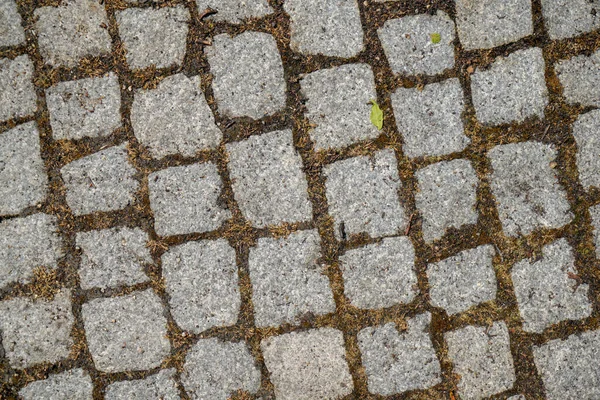 Top View Paved Path Texture Background — Stock Photo, Image