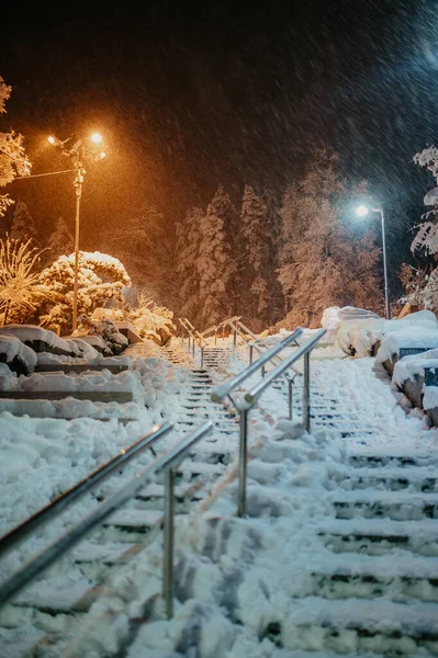 Une Vue Verticale Escalier Entièrement Couvert Neige Pendant Nuit — Photo