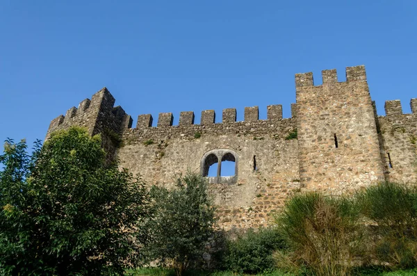 Castillo Castillo Medieval Pombal Portugal Patrimonio Historia — Foto de Stock