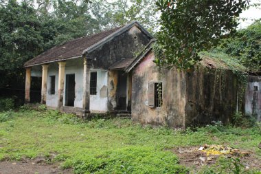 Ağaçlarla çevrili bir bahçede iki eski ev.