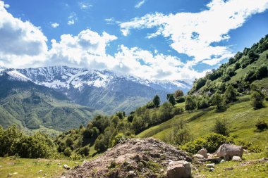 Mavi bulutlu gökyüzünün altında dağları olan yeşil bir manzara.