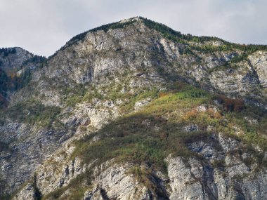 Slovenya 'daki Bohinj Gölü yakınlarındaki doğal dağ manzarası