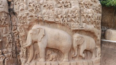 Arjuna 'nın kefareti Mahabalipuram' da Ganga 'nın Çöküşü' nün yakın çekimi.