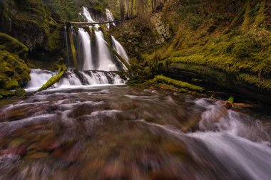Lower Panther Creek Falls, Washington 'a yakın çekim.