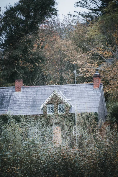 Una Hermosa Foto Edificio Residencial Rodeado Árboles Rostrevor Irlanda Durante — Foto de Stock