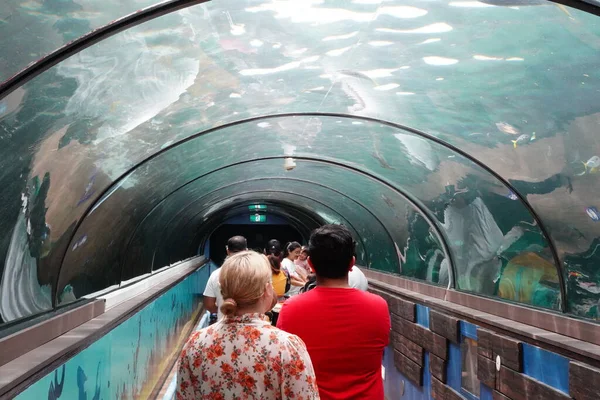 Een Close Van Mensen Die Het Aquarium Lopen Onder Hoofdtank — Stockfoto