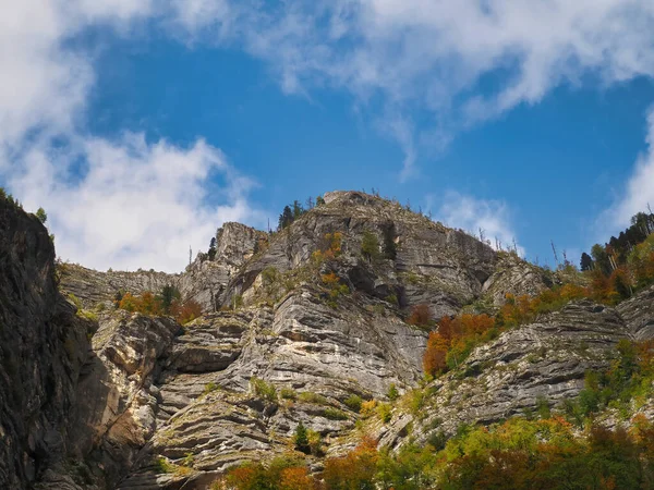 Schöne Aussicht Auf Die Berge Von Bohinj Slowenien Bedeckt Vom — Stockfoto