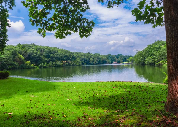 湖のある美しい国の風景 — ストック写真