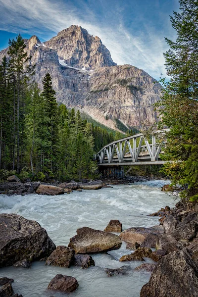 加拿大阿拉斯加州河畔一座桥的垂直截图 — 图库照片