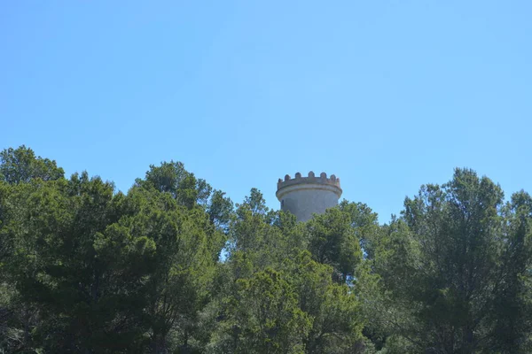 Mallorca Ağaçların Arkasında Bir Kule — Stok fotoğraf