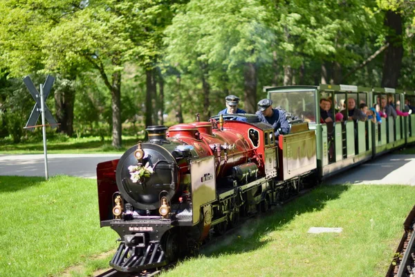 Ferrocarril Dresde Park Gran Jardín Día Soleado — Foto de Stock
