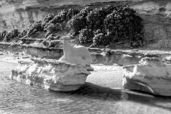 在岩石切割平台上的水坑中 一个巨大的石灰石巨石阵的黑白镜头 被侵蚀成鲸鱼的形状 马耳他群岛 马耳他 — 图库照片
