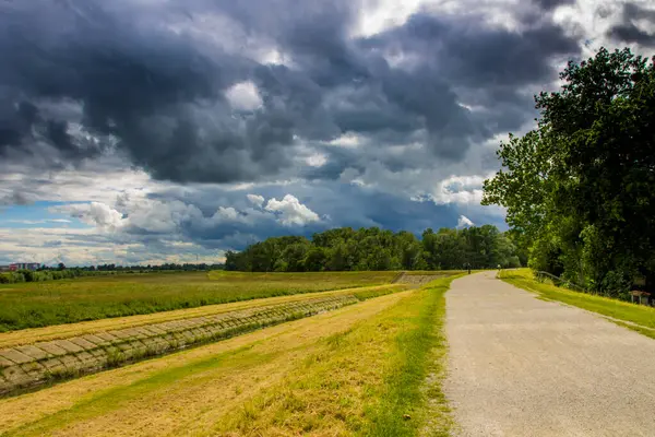 Beau Paysage Champêtre Avec Une Route Entourée Une Nature Verte — Photo