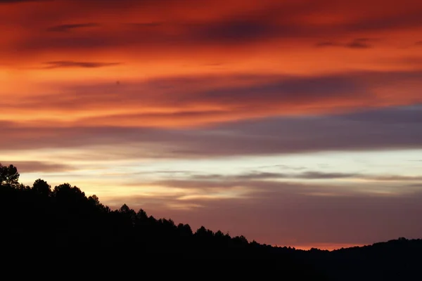 Ağaçlı Bir Tepenin Üzerinde Gün Batımının Güzel Bir Görüntüsü — Stok fotoğraf
