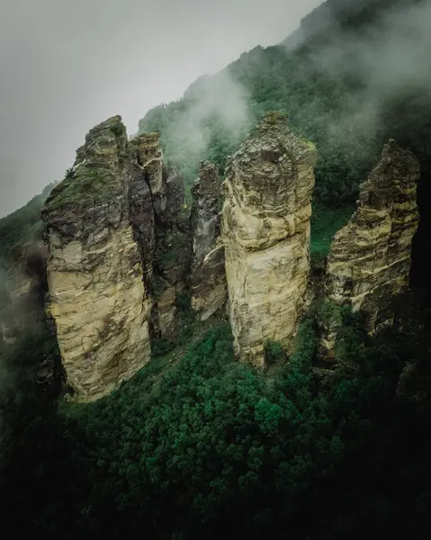 Tiro Ângulo Alto Picos Montanha Cercados Por Floresta Neblina — Fotografia de Stock