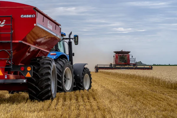 Eine Landwirtschaftliche Erntemaschine Erntet Auf Dem Weizenfeld — Stockfoto