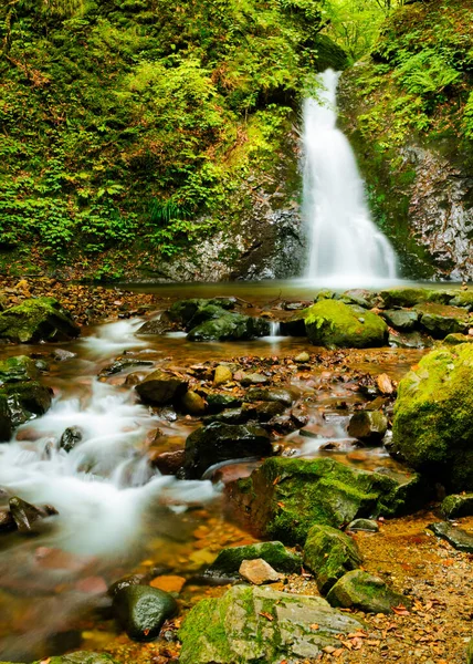瀑布和水流在布满苔藓的岩石之间的美丽的垂直镜头 — 图库照片