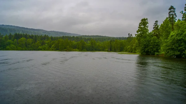 Hermoso Paisaje Del Paisaje Con Lago Bosques Día Nublado —  Fotos de Stock