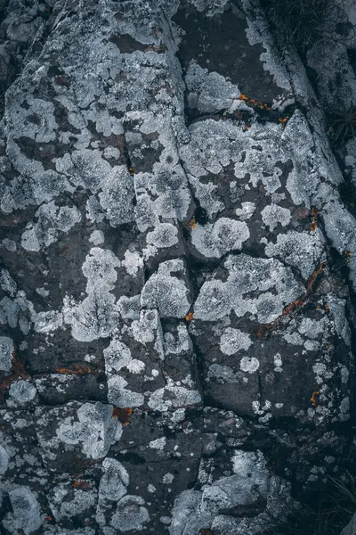 Una Textura Una Enorme Piedra Con Liquen — Foto de Stock