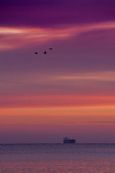 Büyüleyici Günbatımı Görüntüsü Deniz Gökyüzünde Uçan Kuşların Siluetleri — Stok fotoğraf