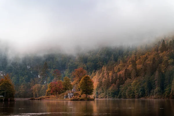 Uma Floresta Lago Tempo Nebuloso — Fotografia de Stock