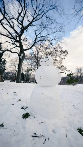 公園での雪だるまの垂直ショット — ストック写真
