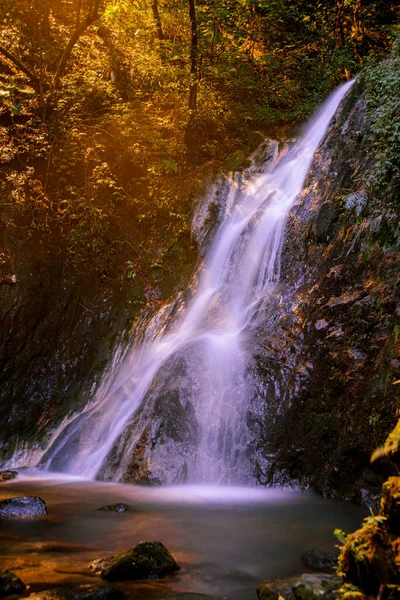 太陽が輝く緑に囲まれた美しい滝の垂直ショット — ストック写真