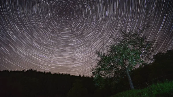 Ein Schöner Zeitraffer Des Sternenhimmels Über Dem Wald — Stockfoto