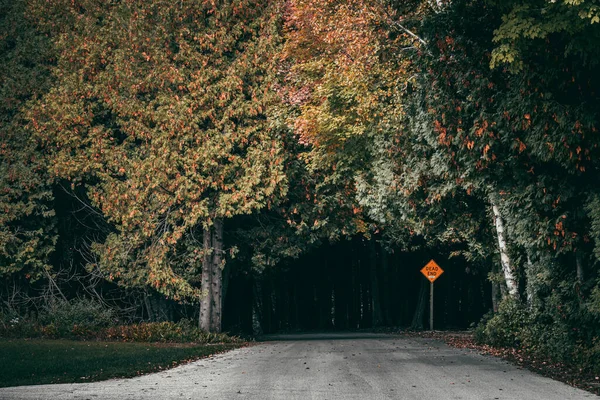 Väg Genom Höstskog Door County Wisconsin Usa — Stockfoto