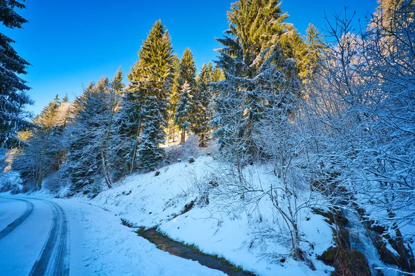 Piękne Ujęcie Śnieżnej Scenerii Zbiorniku Goldistal Lesie Turyngii Niemcy — Zdjęcie stockowe
