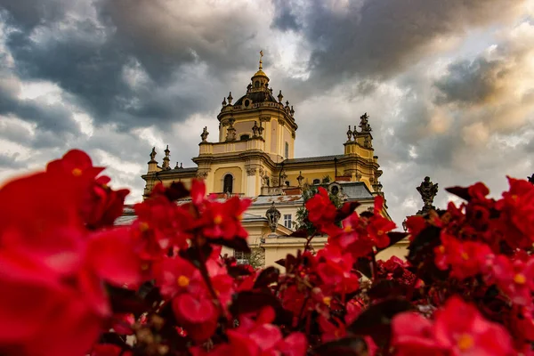 Célèbre Cathédrale Saint Georges Lviv Ukraine Avec Des Fleurs Rouges — Photo