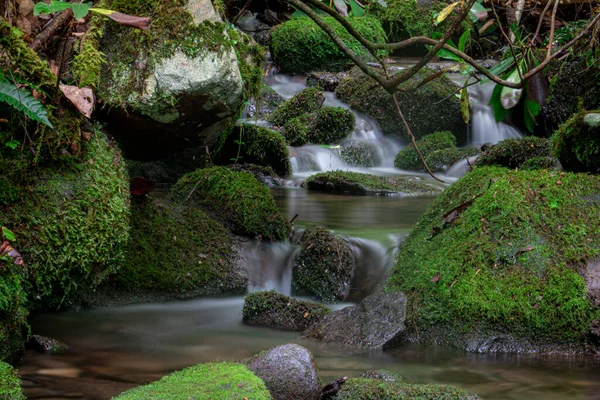 Uma Vista Perto Inundações Água Rochas Musgosas Verdes Com Galhos — Fotografia de Stock