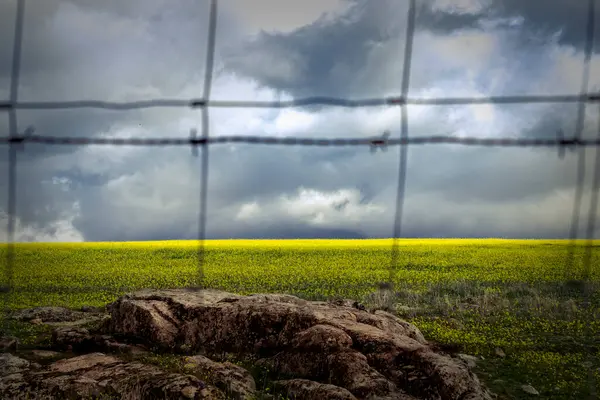 Μια Γραφική Θέα Ενός Πράσινου Τοπίου Πίσω Από Ένα Δίχτυ — Φωτογραφία Αρχείου