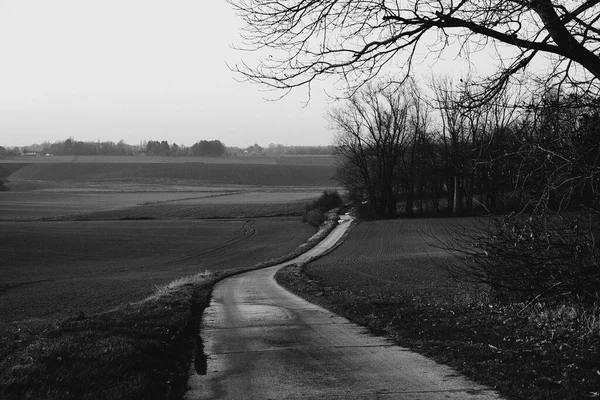 ベルギー グラバイスの農地の真ん中で未舗装の道路のグレースケールショット — ストック写真