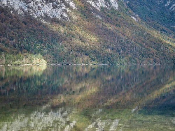 Naturalny Widok Jezioro Bohinj Słowenii Odbiciem Drzew Gór Powierzchni — Zdjęcie stockowe