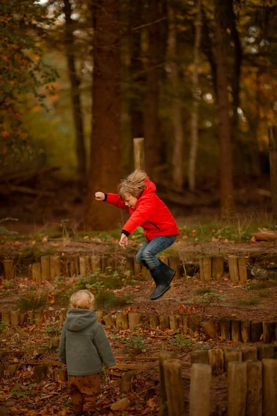 Eine Vertikale Von Zwei Kaukasischen Kindern Die Gemeinsam Einem Laubwald — Stockfoto