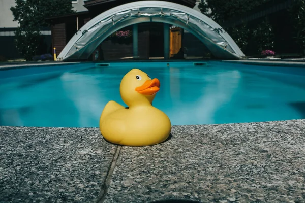 Closeup Yellow Rubber Duck Pool Outdoors — Stock Photo, Image