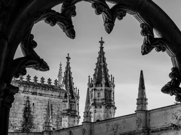 Vue Niveaux Gris Une Cathédrale Gothique Lisbonne Portugal — Photo