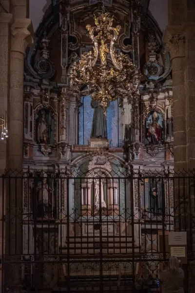 Plano Vertical Del Interior Catedral Santiago Compostela — Foto de Stock