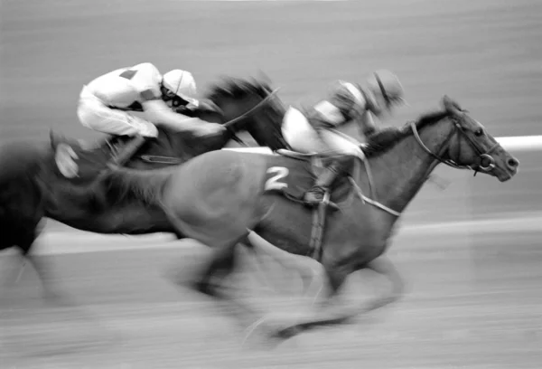 Eine Schwarz Weiß Aufnahme Eines Pferderennens Auf Der Galopprennbahn Von — Stockfoto