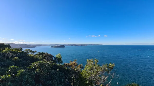 Beautiful Landscape View Trees Blue Water Blue Horizon Sky New — Stock Photo, Image