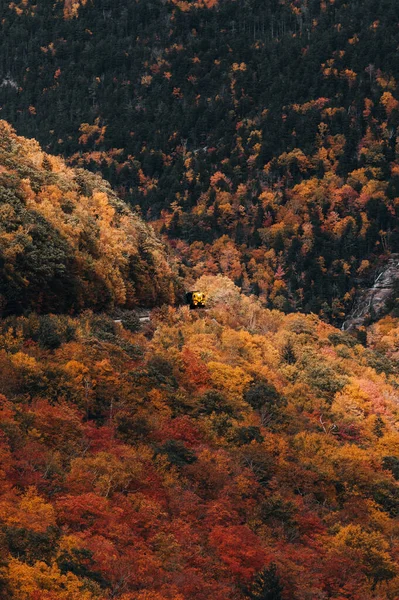 Nahaufnahme Des Conway Expresses Der Durch Den Herbstwald Fährt — Stockfoto