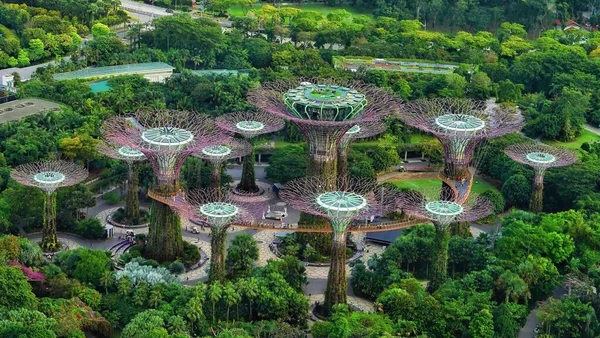 Una Toma Aérea Exuberante Vegetación Que Rodea Marina Bay Supertree — Foto de Stock