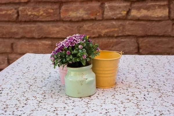 Eine Nahaufnahme Von Blumen Einem Kleinen Eimer Auf Einem Tisch — Stockfoto