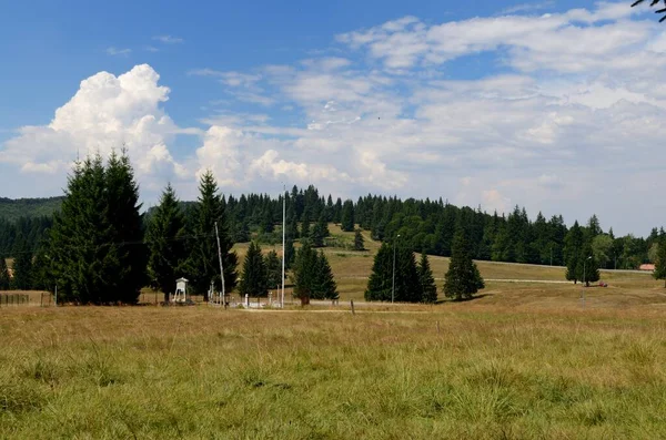 Campo Verde Brillante Rurale Con Alberi Vicino Montagne Sotto Cielo — Foto Stock